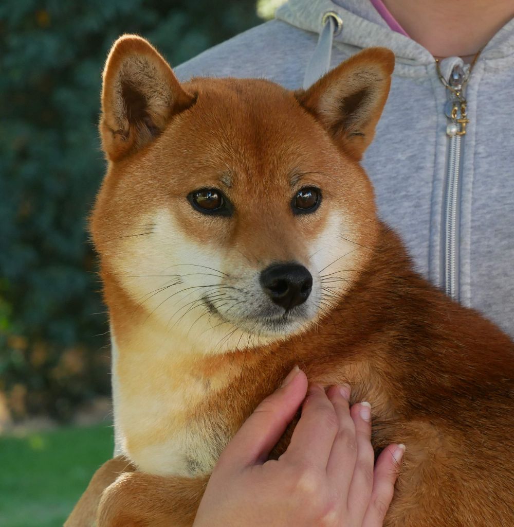 Targette De La Source Des Rochettes