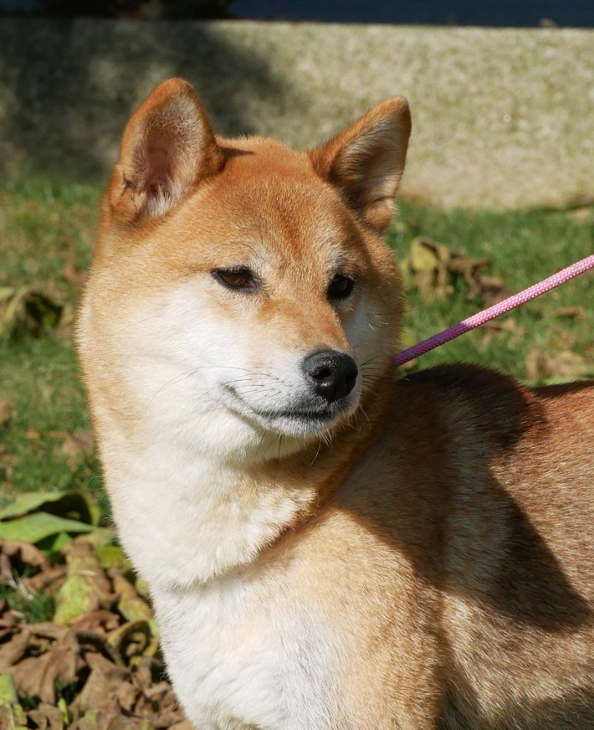 Sephira De La Source Des Rochettes