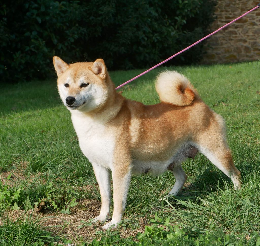 Twenty De La Source Des Rochettes