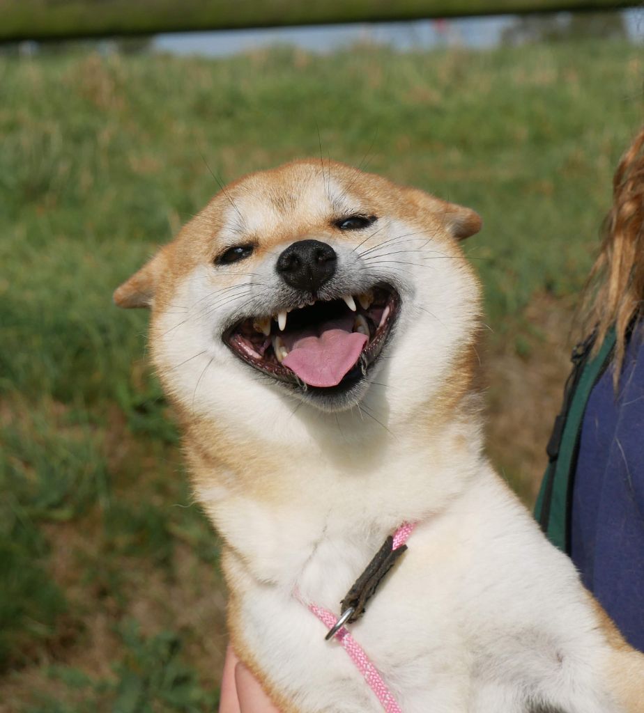 Les plus beaux sourires !